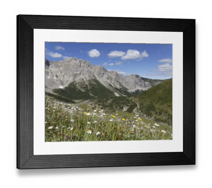 Framed Print : Obere Wolayer Alm mountain pasture with the Biegengebirge Mountains, Carnic Alps, Lesachtal, Carinthia, Austria Framed Print : Obere Wolayer Alm mountain pasture with the Biegengebirge Mountains, Carnic Alps, Lesachtal, Carinthia, Austria