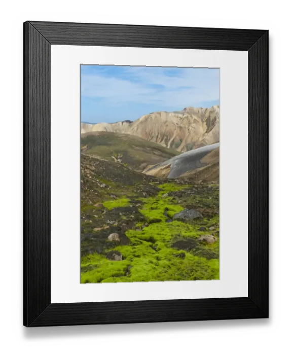 Framed Print : Mountain landscape, colourful rhyolite rock, partly overgrown with green moss, Landmannalaugar, Highlands, Sudurland, Iceland Framed Print : Mountain landscape, colourful rhyolite rock, partly overgrown with green moss, Landmannalaugar, Highlands, Sudurland, Iceland