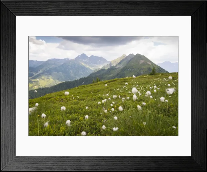 Framed Print : Summer meadow on the Planai region, Schladming, Styria, Austria Framed Print : Summer meadow on the Planai region, Schladming, Styria, Austria