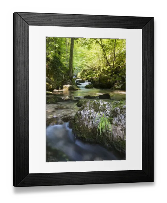 Framed Print : Brook of Myra Falls, Muggendorf, Lower Austria, Austria