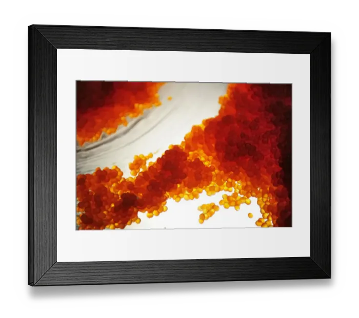 Framed Print : Salmon caviar, Russian specialty, on a light table, Kamchatka Peninsula, Russia Framed Print : Salmon caviar, Russian specialty, on a light table, Kamchatka Peninsula, Russia