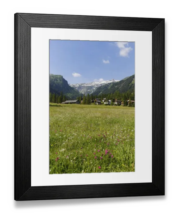 Framed Print : Nenzinger Himmel alpine meadow, Gamperdonatal, Nenzing parish, Raetikon, Vorarlberg, Austria