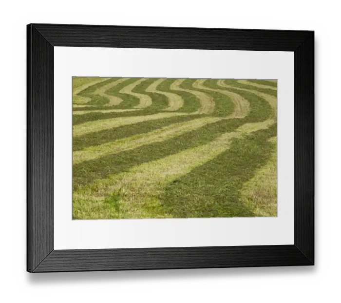 Framed Print : Hayfield raked in geometric patterns, Compton, Eastern Townships, Quebec Province, Canada Framed Print : Hayfield raked in geometric patterns, Compton, Eastern Townships, Quebec Province, Canada