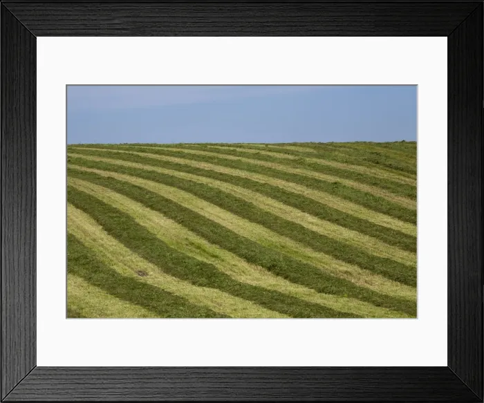 Framed Print : Hayfield raked in geometric patterns, Compton, Eastern Townships, Quebec Province, Canada Framed Print : Hayfield raked in geometric patterns, Compton, Eastern Townships, Quebec Province, Canada