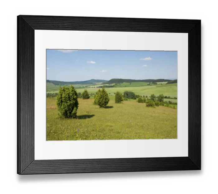Framed Print : Juniper pastures, Wiesenthaler Schweiz nature reserve, Wiesenthal, Rhoen Biosphere Reserve, Thuringia, Germany Framed Print : Juniper pastures, Wiesenthaler Schweiz nature reserve, Wiesenthal, Rhoen Biosphere Reserve, Thuringia, Germany