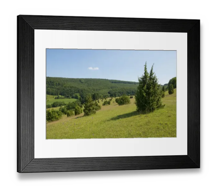 Framed Print : Juniper pastures, Wiesenthaler Schweiz nature reserve, Wiesenthal, Rhoen Biosphere Reserve, Thuringia, Germany Framed Print : Juniper pastures, Wiesenthaler Schweiz nature reserve, Wiesenthal, Rhoen Biosphere Reserve, Thuringia, Germany