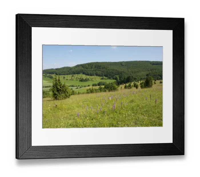 Framed Print : Juniper pastures, Wiesenthaler Schweiz nature reserve, Wiesenthal, Rhoen Biosphere Reserve, Thuringia, Germany Framed Print : Juniper pastures, Wiesenthaler Schweiz nature reserve, Wiesenthal, Rhoen Biosphere Reserve, Thuringia, Germany