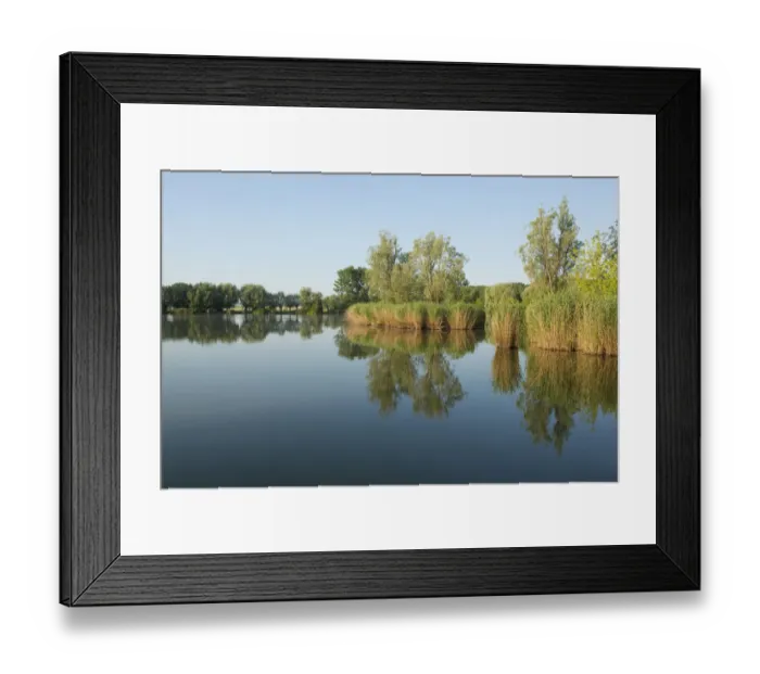 Framed Print : Pond landscape, Herbslebener Teiche nature reserve, Herbsleben, Thuringia, Germany Framed Print : Pond landscape, Herbslebener Teiche nature reserve, Herbsleben, Thuringia, Germany
