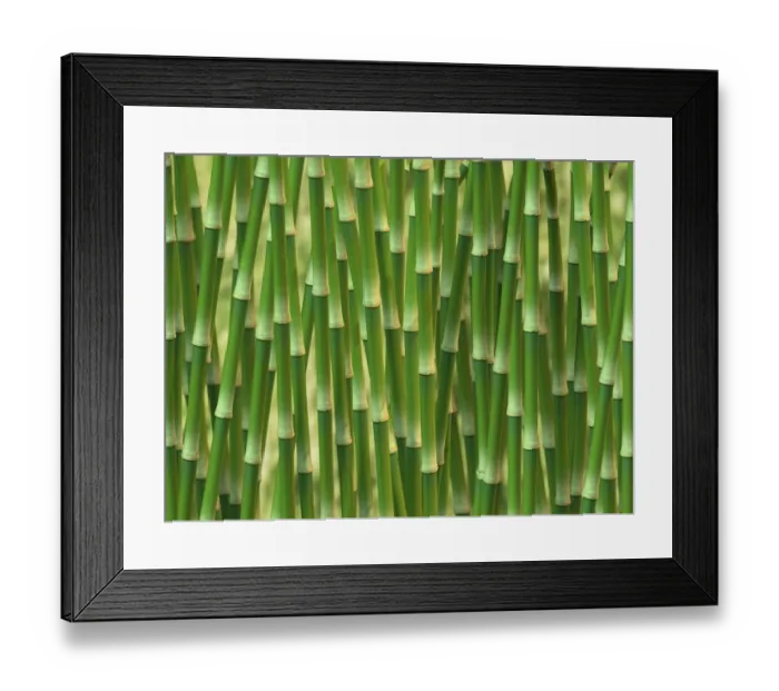 Framed Print : Green bamboo, 3D illustration Framed Print : Green bamboo, 3D illustration