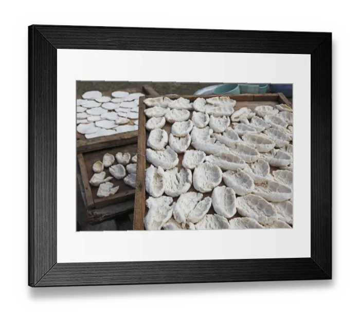 Framed Print : Cheese of the nomads, spread out to dry, near Bulgan, Bulgan Aimag, Mongolia Framed Print : Cheese of the nomads, spread out to dry, near Bulgan, Bulgan Aimag, Mongolia