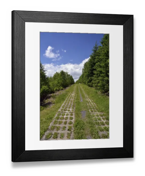 Framed Print : Green Belt, former inner-German border patrol path with the overgrown death strip, Rennsteig, Lehesten, Thuringia, Germany Framed Print : Green Belt, former inner-German border patrol path with the overgrown death strip, Rennsteig, Lehesten, Thuringia, Germany