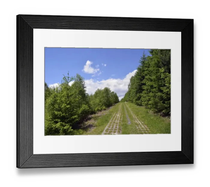 Framed Print : Green Belt, former inner-German border patrol path with the overgrown death strip, Rennsteig, Lehesten, Thuringia, Germany Framed Print : Green Belt, former inner-German border patrol path with the overgrown death strip, Rennsteig, Lehesten, Thuringia, Germany