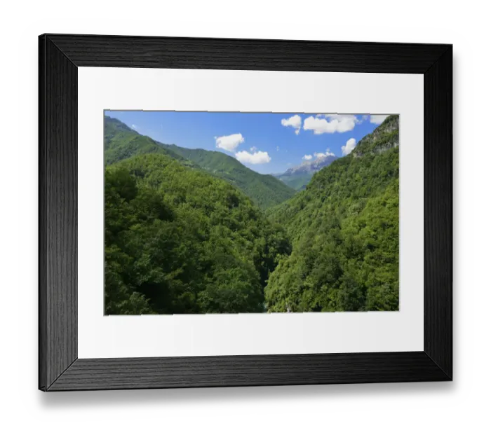 Framed Print : Beech forest in Moraca Canyon between Podgorica and Kolasin, Crna Gora, Montenegro