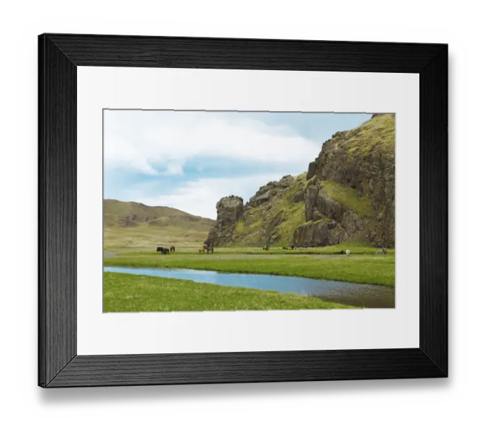 Framed Print : Yaks -Bos mutus- and Mongolian horses grazing in a valley on the Ongiyn river, near Arvaikheel, Southern Steppe, Ovorkhangai Province, Mongolia Framed Print : Yaks -Bos mutus- and Mongolian horses grazing in a valley on the Ongiyn river, near Arvaikheel, Southern Steppe, Ovorkhangai Province, Mongolia