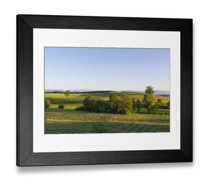 Framed Print : Cultural landscape with mown meadows, Alpine Foothills, Eberfing, Upper Bavaria, Bavaria, Germany Framed Print : Cultural landscape with mown meadows, Alpine Foothills, Eberfing, Upper Bavaria, Bavaria, Germany