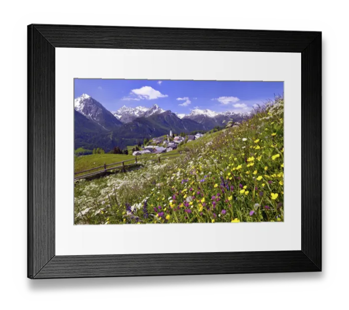 Framed Print : Meadow flowers against Ftan in the Lower Engadin, Graubunden, Switzerland Framed Print : Meadow flowers against Ftan in the Lower Engadin, Graubunden, Switzerland