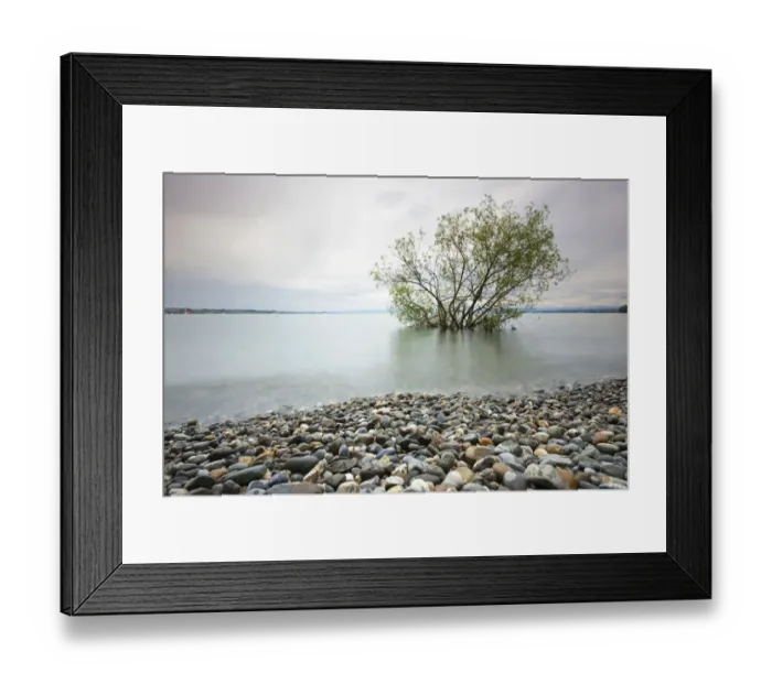 Framed Print : Shore during high waters at Hoernle, Lake Constance, Konstanz, Baden-Wurttemberg, Germany Framed Print : Shore during high waters at Hoernle, Lake Constance, Konstanz, Baden-Wurttemberg, Germany