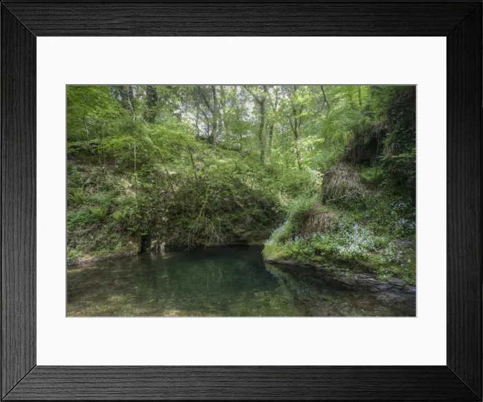 Framed Print : Forest in the Dartmoor National Park, Lyndford, England, United Kingdom Framed Print : Forest in the Dartmoor National Park, Lyndford, England, United Kingdom