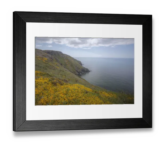 Framed Print : Atlantic Coast, Devon, England, United Kingdom