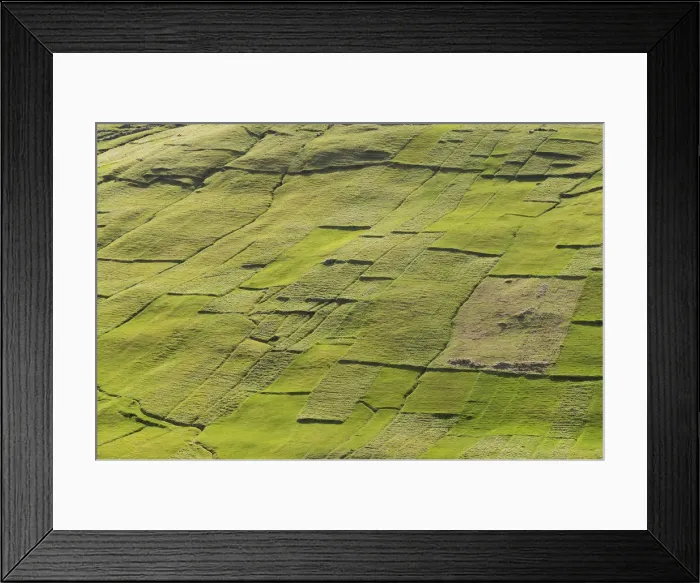 Framed Print : Parcels of land, fields, patchwork, Kvivik, Streymoy, Faroe Islands, Denmark