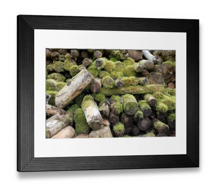 Framed Print : Woodpile covered with moss, Allgau, Bavaria, Germany
