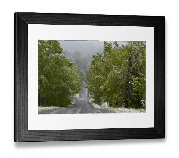 Framed Print : Road through forest with snow, Fulford, Eastern Townships, Quebec Province, Canada Framed Print : Road through forest with snow, Fulford, Eastern Townships, Quebec Province, Canada