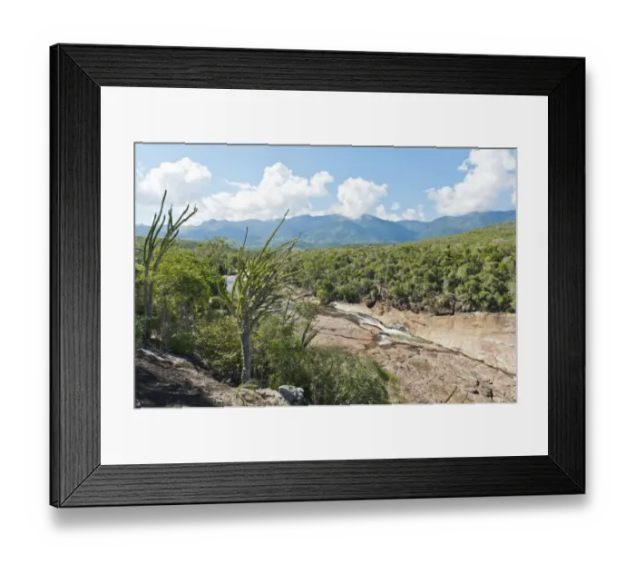 Framed Print : Tropical dry forest landscape with river and rocks, with Madagascan Ocotillo or Alluaudia -Alluaudia procera-, Didiereaceae, Andohahela National Park, near Fort-Dauphin or Tolagnaro, Madagascar Framed Print : Tropical dry forest landscape with river and rocks, with Madagascan Ocotillo or Alluaudia -Alluaudia procera-, Didiereaceae, Andohahela National Park, near Fort-Dauphin or Tolagnaro, Madagascar