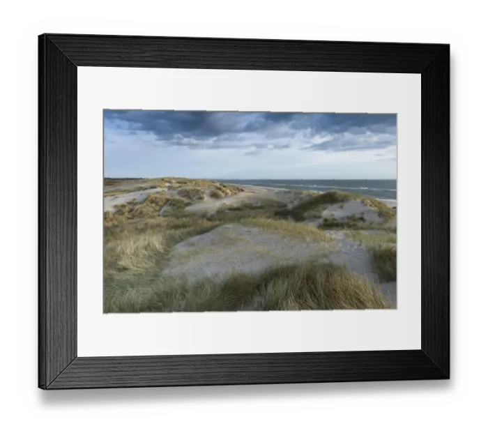 Framed Print : Dunes along the North Sea, Ringkobing Fjord, Nymindegab, Jutland, Denmark Framed Print : Dunes along the North Sea, Ringkobing Fjord, Nymindegab, Jutland, Denmark