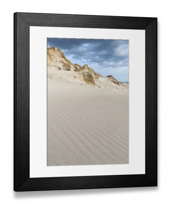 Framed Print : Dune with beachgrass, Ringkobing Fjord, Nymindegab, Jutland, Denmark