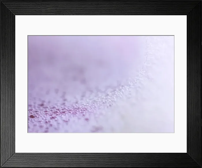 Framed Print : Bubbles, lather, Germany Framed Print : Bubbles, lather, Germany