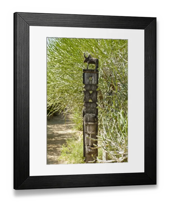 Framed Print : Totem carved from wood, arboretum of Tulear or Toliara, Madagascar Framed Print : Totem carved from wood, arboretum of Tulear or Toliara, Madagascar