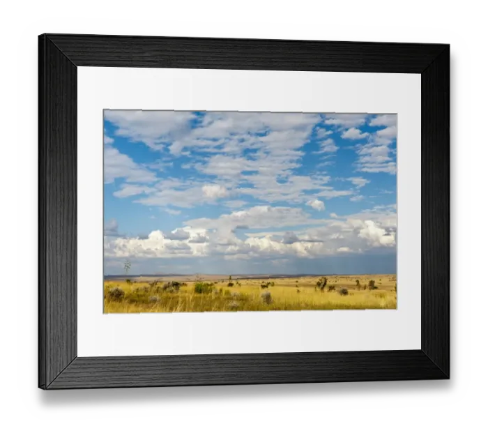 Framed Print : Wide grass landscape, clouds, Isalo National Park, at Ranohira, Madagascar Framed Print : Wide grass landscape, clouds, Isalo National Park, at Ranohira, Madagascar