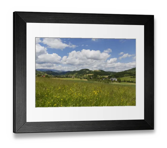 Framed Print : Spring meadow, Granitztal valley, near St. Paul im Lavanttal, Carinthia, Austria Framed Print : Spring meadow, Granitztal valley, near St. Paul im Lavanttal, Carinthia, Austria
