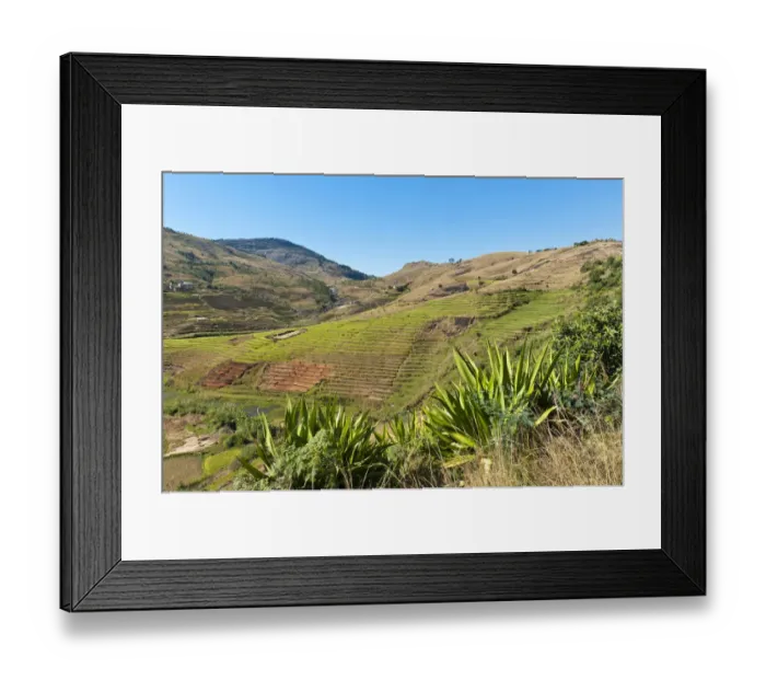 Framed Print : Landscape, steep terraced rice fields paddies of the Betsileo people, rocky mountains, Anja-Park near Ambalavao, Madagascar Framed Print : Landscape, steep terraced rice fields paddies of the Betsileo people, rocky mountains, Anja-Park near Ambalavao, Madagascar