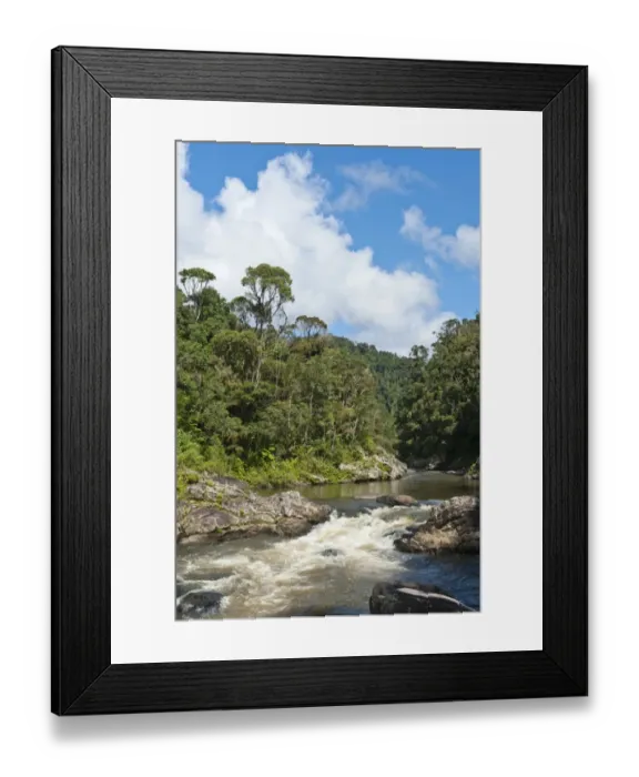 Framed Print : Stream, small waterfall in jungle, primary forest, National Park Ranomafana, Fianarantsoa Province, Madagascar Framed Print : Stream, small waterfall in jungle, primary forest, National Park Ranomafana, Fianarantsoa Province, Madagascar