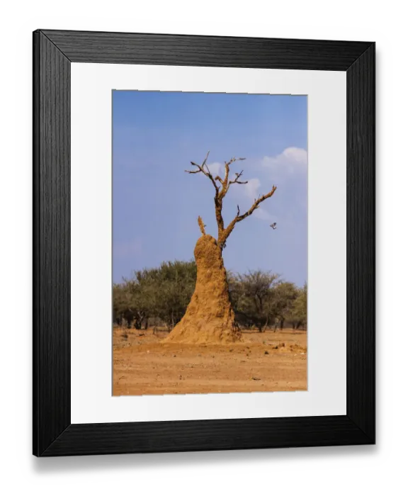Framed Print : Termite mound, Kaokoland, Kaokoveld, Namibia Framed Print : Termite mound, Kaokoland, Kaokoveld, Namibia