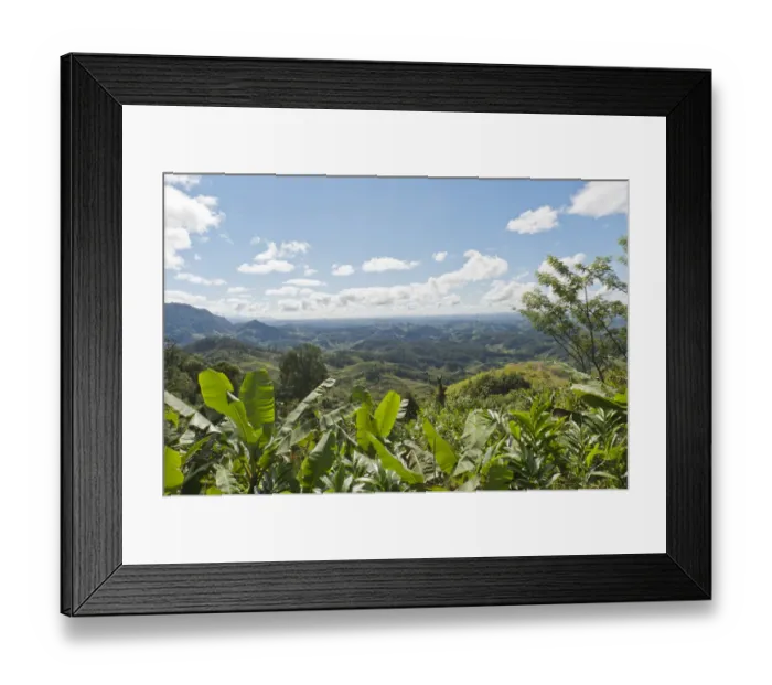 Framed Print : Vast mountainous landscape with banana trees at front, near Manakara, Madagascar Framed Print : Vast mountainous landscape with banana trees at front, near Manakara, Madagascar