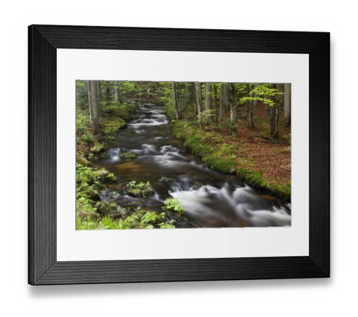 Framed Print : Kleine Ohe or Schollnach stream, Bavarian Forest National Park, Bavaria, Germany Framed Print : Kleine Ohe or Schollnach stream, Bavarian Forest National Park, Bavaria, Germany