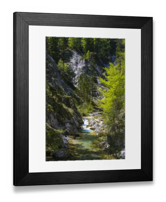 Framed Print : Course of a stream, Otschergraben, Nature Park Otscher-Tormauer, Otscher, Lower Austria, Austria Framed Print : Course of a stream, Otschergraben, Nature Park Otscher-Tormauer, Otscher, Lower Austria, Austria