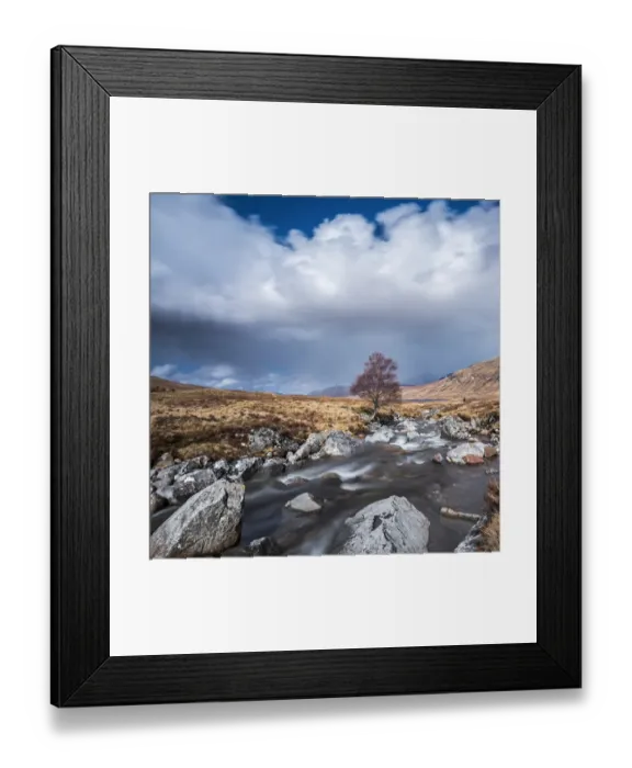 Framed Print : Isolated tree on the River Ossian, Corrour, Highlands, Scotland, United Kingdom Framed Print : Isolated tree on the River Ossian, Corrour, Highlands, Scotland, United Kingdom