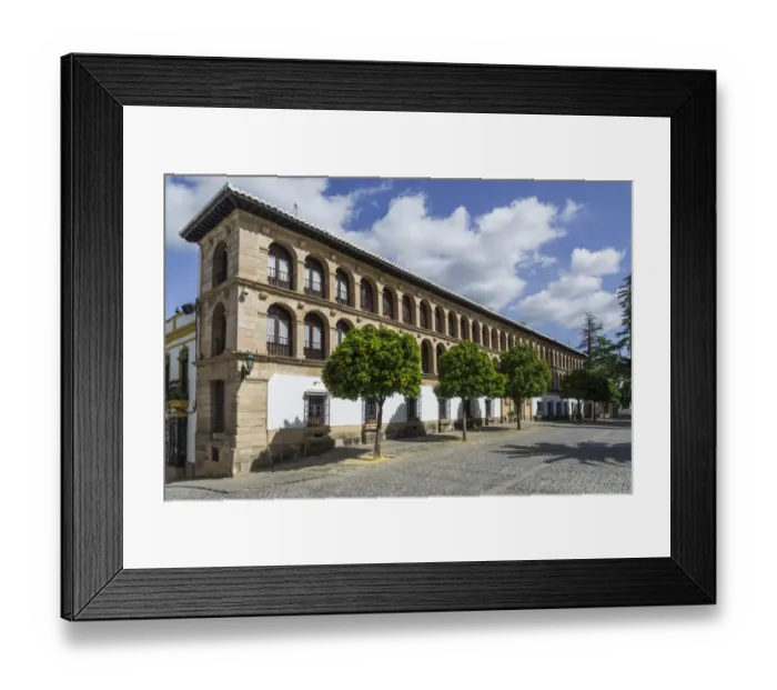 Framed Print : City Hall, Ronda, Malaga province, Andalucia, Spain Framed Print : City Hall, Ronda, Malaga province, Andalucia, Spain