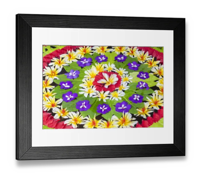 Framed Print : Arrangement of petals and leaves floating in a basin of water, Ubud, Bali, Indonesia Framed Print : Arrangement of petals and leaves floating in a basin of water, Ubud, Bali, Indonesia