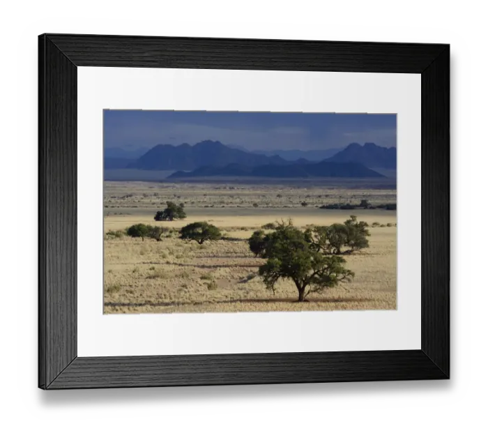 Framed Print : Steppe landscape or veldt, Namib, Hardap Region, Namibia Framed Print : Steppe landscape or veldt, Namib, Hardap Region, Namibia