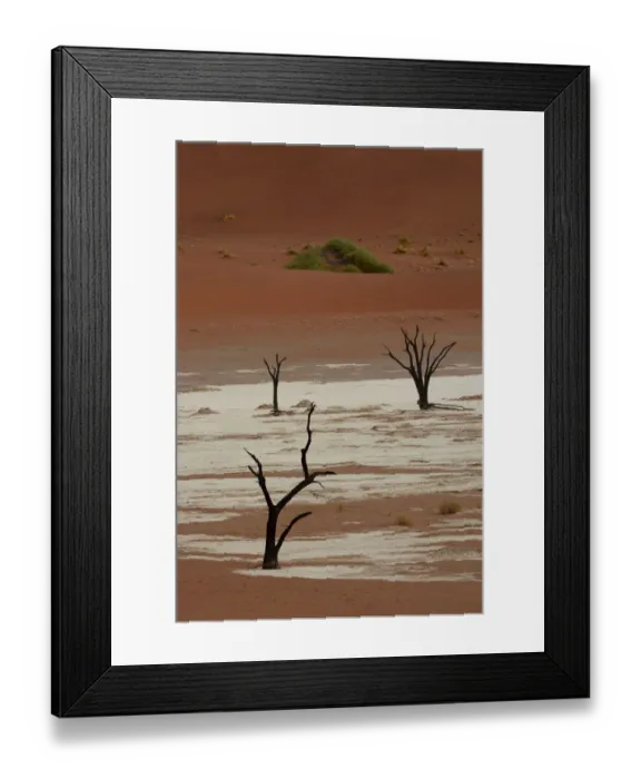 Framed Print : Dead trees in Dead Vlei or Deadvlei, Namib, Hardap Region, Namibia