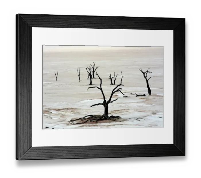 Framed Print : Dead trees in Dead Vlei or Deadvlei, Namib, Hardap Region, Namibia Framed Print : Dead trees in Dead Vlei or Deadvlei, Namib, Hardap Region, Namibia