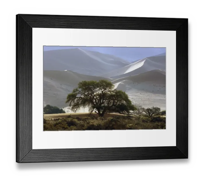 Framed Print : Vegetation in front of sand dunes, Namib, Hardap Region, Namibia