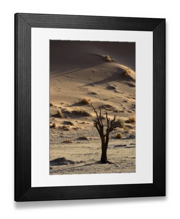 Framed Print : Dead tree in a desert landscape, Namib, Hardap Region, Namibia Framed Print : Dead tree in a desert landscape, Namib, Hardap Region, Namibia