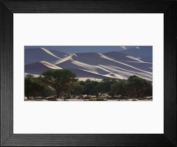 Framed Print : Desert landscape with trees, Namib, Hardap Region, Namibia Framed Print : Desert landscape with trees, Namib, Hardap Region, Namibia