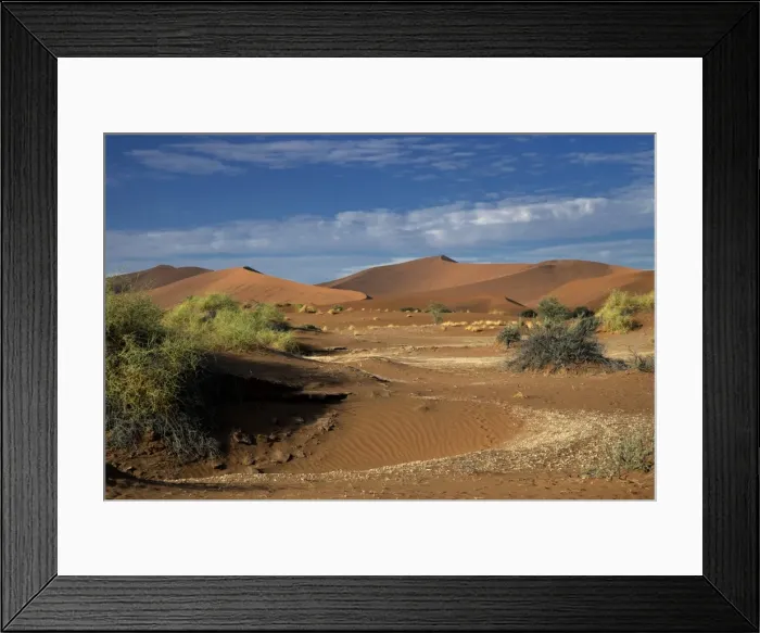 Framed Print : Desert landscape, Namib, Hardap Region, Namibia Framed Print : Desert landscape, Namib, Hardap Region, Namibia