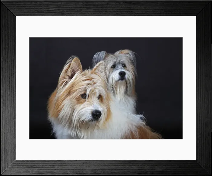 Framed Print : Two Elos, male, portrait Framed Print : Two Elos, male, portrait